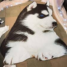 Cartoon Husky Dog 3d Print Bed Summer Quilt 80 115cm Online3dprinting Summer Quilts Print Bedding Dog Blanket