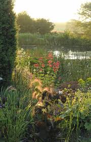 Rhodds Farm From Open Space To Stunning Country Garden In Under 12 Years Nature Aesthetic Nature Nature Photography