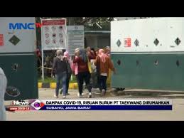 Lihat profil lengkapnya di linkedin dan temukan koneksi dan pekerjaan tiya di perusahaan yang serupa. Dampak Covid 19 Ribuan Buruh Pt Taekwang Di Rumahkan Lim 14 04 Youtube