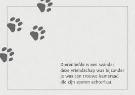 Gedicht Voor Overleden Hond Hondenforum