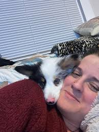 Ragdoll cats taking over their owners' beds