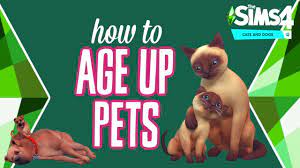 Hello today i used cheat codes to age up or down your pets, i hope you enjoyed, if you have questions comment down bellow! How To Age Up Pets In The Sims 4 Cats Dogs Youtube