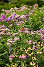 Biodiversity in Governors Island: Andi Pettis Is Bringing Biodiversity Back  at the Urban Island