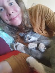 Apartment for 1 person + dog Hi I might have a good job opportunity in  tromso but I am struggling with the apartment or room...I went to the  normal chanels to find