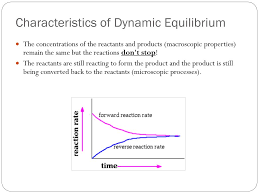 Ppt Equilibrium Powerpoint Presentation Free Download Id 7054910
