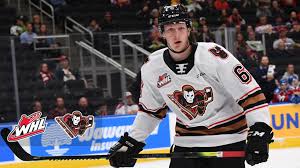 On monday, nashville predators prospect luke prokop became the first active player signed to an nhl contract to come out as gay. Bfttjohrgi Jlm