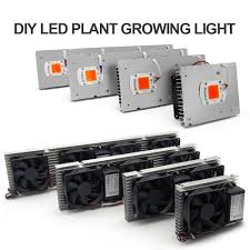 What is also important is the type of light you are looking for. Cob Led Grow Light Full Spectrum Actual Power 50w 100w 150w 200w Led Plant Grow Lamp For Indoor Plants Veg Flowering Stage Best Price 92231 Cicig