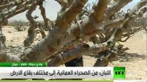 شجرة اللبان دواء وبخور Youtube