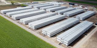 Gigantyczne miasteczko kontenerowe powstaje pod Płockiem. Wiemy, kto tam  trafi | Domiporta