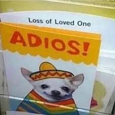 That's why we're fans of this new dank meme, known as adios wormhole which features a sad guy about to peace out through a wormhole. Goodbye Funny Memes Funny Images Stupid Memes