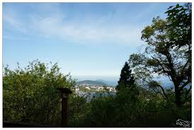 中部螢火蟲優選住宿 看見台灣山林之美 南投鹿谷住宿推薦 蟬說 鳳凰亭序 台灣星野度假村 自然環境 臺大鳳凰自然園區 綠建築小木屋 歐式自助料理 賞花 螢火蟲 走走停停 小燈泡在旅行