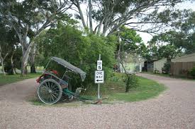 Pennisula hot springs and sorrento golf club are worth visiting if an activity is on the agenda, while those wishing to experience the area's natural beauty can explore rye beach and sorrento front beach. Ponderosa Pet Resort Home Facebook