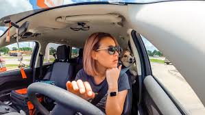 Free returns · 24/7 customer service · free shipping The Ultimate Guide To A Solo Cross Country Road Trip With Your Dog From Florida To California Travel Pockets