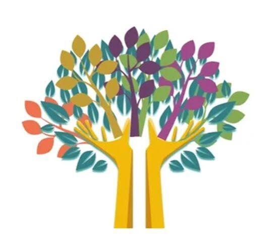 To Know You More Clearly - St Elizabeth's Primary School