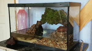 Tuto Paludarium Paludarium Change Nouvelle Video Bientot Dispo Youtube