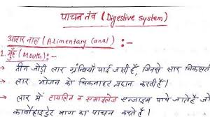 General Science Handwritten Notes In Hindi Pdf Download Handwritten Notes Science Notes Pdf Download