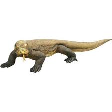 They have also been introduced to the. Komodo Dragon Lizard Life Size Statue Komodo Dragon Komodo Dragon Statue