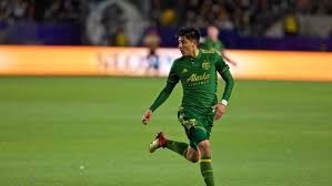 Image result for fotbal foarfeca