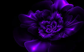 Black And Purple Flowers Wallpaper Dark Purple Roses Wallpaper Purple Flowers Wallpaper Dark Purple Flowers Purple Flower Background