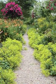 4 Plantes Ideales Pour Les Bordures Decoration Jardin Terrasse Idees Jardin Et Decoration Jardin