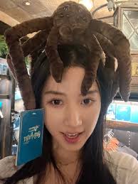 Welcome to Universal Studio of Beijing🤳🤳