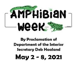 Mini critter party. for my son's 4th birthday party on july 17. Amphibian Week 2021 Parc