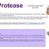 Lipase is minimizing the use of phosphate based chemicals in detergent formulations. 1