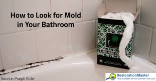 We did not find results for: How To Detect Mold In Your Bathroom