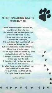 47 rainbow bridge poems ranked in order of popularity and relevancy. Pin By Lindsay Reid On Jake S Memories Pet Loss Grief Dog Poems Dog Quotes