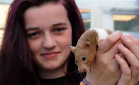 Pictures: Three-legged hamster Biscuit