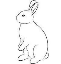 Annie Jorge (annie_jorge) — Perfil