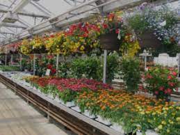 Feel free to give us a call to confirm we have your type of plant before stopping in. Employment Opportunities Mn Wagners Greenhouses