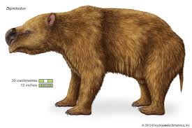 But when you read the signs, it's easy to identify what animals you have. Marsupial Definition Characteristics Animals Facts Britannica