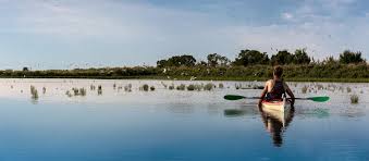 This village is the base for a hundred trawlers who sell their fish every day at 05:00 and 16:00h. Top 12 Des Sites Incontournables De Charente Maritime