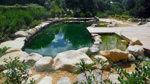 California Natural Pools North America S Natural Swimming Pools Experts