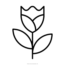 Tulpe Ausmalbilder Ultra Coloring Pages Ausmalen Ausmalbilder Tulpen