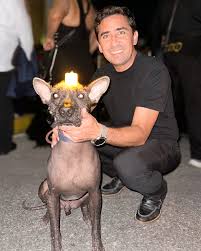 Paul Arce (@paularceontiveros) • Instagram photos and videos