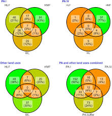 Image result for Dombeya shupangae