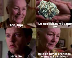 Cultivo Urbano Salta