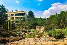 Japanese Gardens In Jubilee Hills Lbb Hyderabad