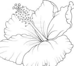 Flowers Drawing Step By Step Hibiscus 31 Trendy Ideas Drawing Flowers In 2020 Hibiscus Drawing Hibiscus Flower Drawing Flower Drawing