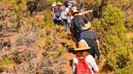 Red Canyon Petroglyph Trek