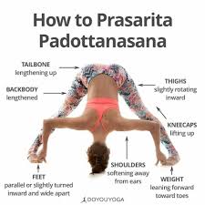 Prasarita Padottanasana Wide Legged Standing Forward Bend Yoga Pose Yoga Guide Yoga Techniques Yoga Asanas