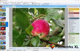 There are plenty of free alternatives to adobe photoshop. Photo Editing Software Download Free Full Version For Windows Users Good Photo Editing Software For Beginners For Darkening Images