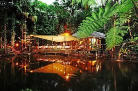 Julaymba Restaurant Gallery Daintree Rainforest Ecotourism National Geographic Adventure