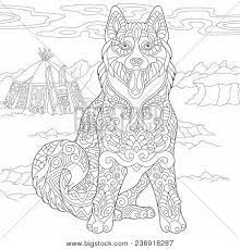 You can get the husky coloring pictures on this page. Alaskan Malamute Vector Photo Free Trial Bigstock