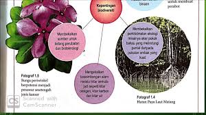 Sains ting 2 bab 2 2 ekosistem kitar nutrien dalam ekosistem. Sains Tingkatan 2 Bab 1 Biodiversiti Science Quizizz
