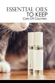 Essential Oils To Keep Cats Off Counters Essential Oils Cats Essential Oils Cats