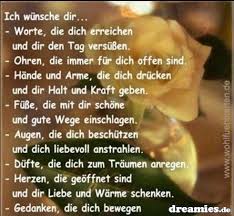 Dreamiesde 6w2h6qjgph9jpg
