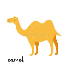Keahi ♂ the portrait of a father by: Orange Camel Stock Illustrations 1 178 Orange Camel Stock Illustrations Vectors Clipart Dreamstime